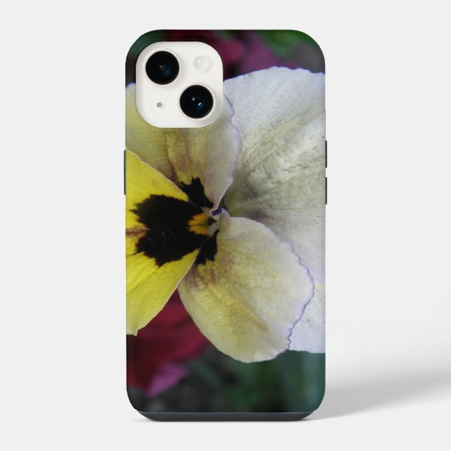 Pansy White e Yellow (Verso)