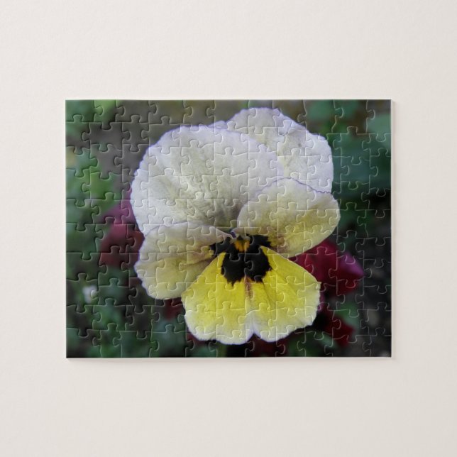 Pansy White e Yellow Quebra-cabeça (Horizontal)