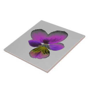 Pansy Wild Dark Azulejo