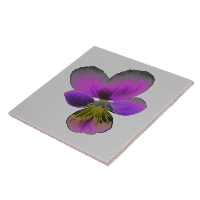 Pansy Wild Dark Azulejo (Lateral)