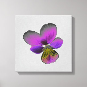 Pansy Wild Dark Canvas