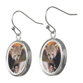 Pantaninha vermelha preguiçosa