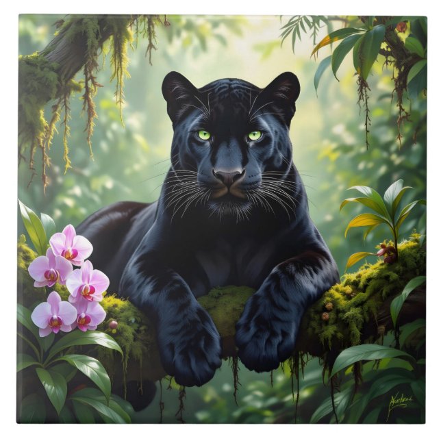 Pantera Negra na Selva (Frente)