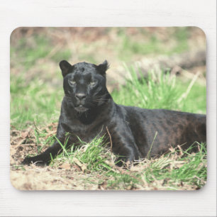 Pantera preta Mousepad