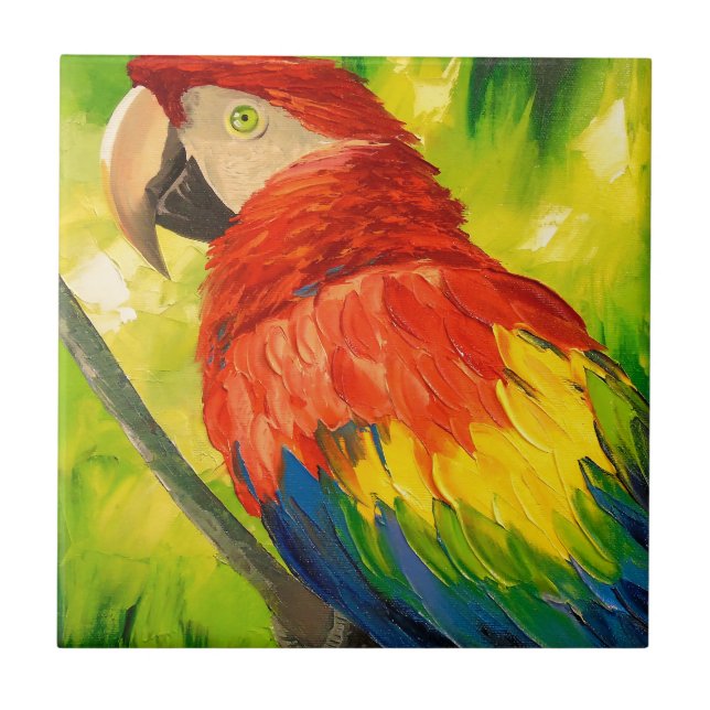 Papagaio (Frente)