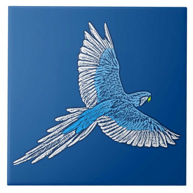Papagaio a Voo, Azul Cobalto e Branco (Frente)