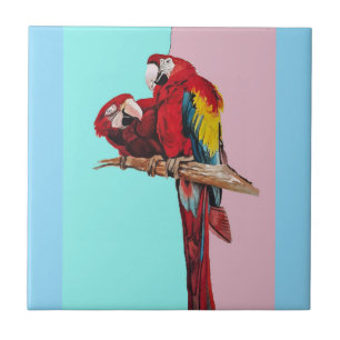 Papagaio Aquarela Rosa Amarelo Bebê Azul Arara