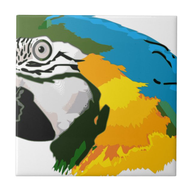 Papagaio azul amarelo pintado do Macaw (Frente)