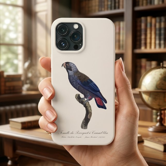 Papagaio-cinza, Pionus fuscus (Dusky Parrot or Dusky Pionus, Pionus fuscus. iPhone Case)