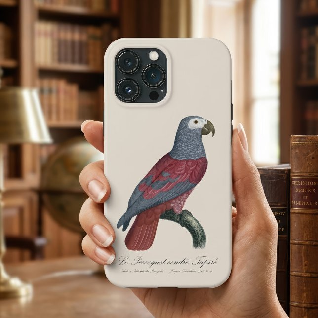 Papagaio Cinzento Africano Fator Vermelho Psittacu (African Grey Parrot Red Factor Psittacus Erithacus. iPhone Case)