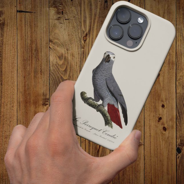 Papagaio cinzento africano, Psittacus erithacus, v (Le Perroquet Cendre - 19th century illustration. iPhone Case)