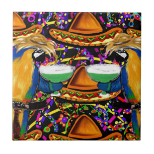 Papagaio de Festa Cinco De Mayo