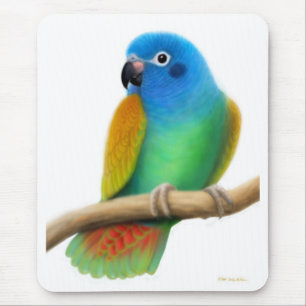 Papagaio dirigido azul Mousepad de Pionus