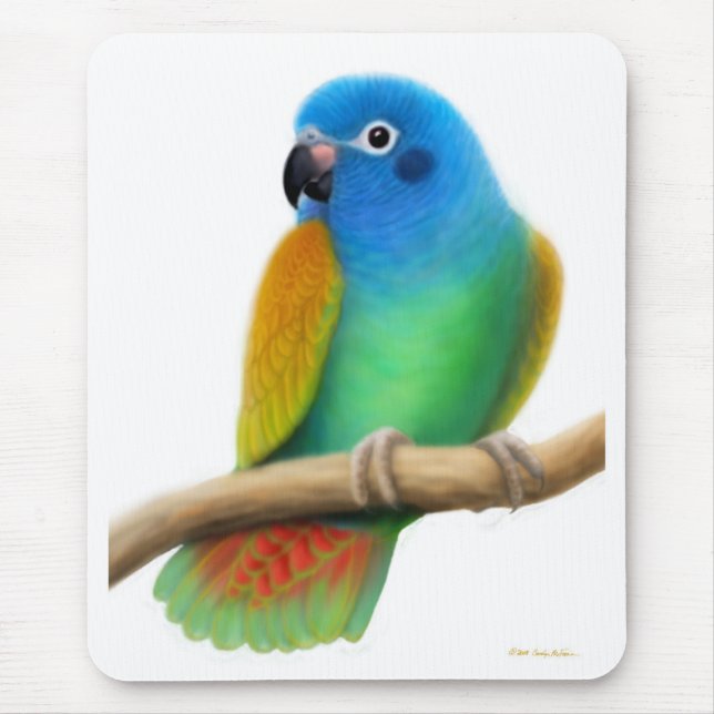 Papagaio dirigido azul Mousepad de Pionus (Frente)