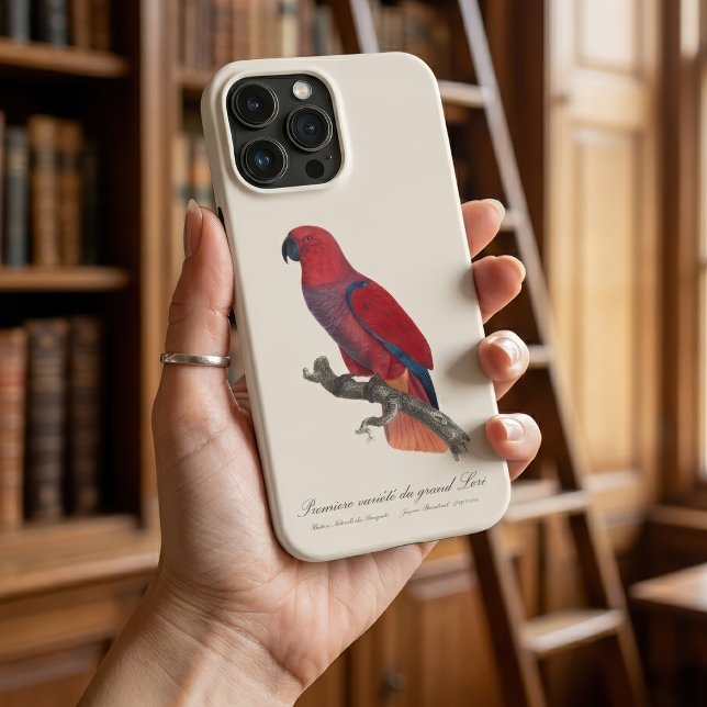 Papagaio Eclectus de Vosmaer, Eclectus Roratus Vos (Vosmaer Eclectus Parrot, Eclectus Roratus Vosmaeri. iPhone Case)
