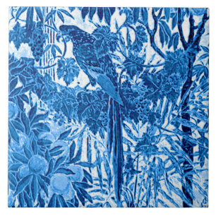 Papagaio em um Prédio da Selva, Azul Indigo e Bra