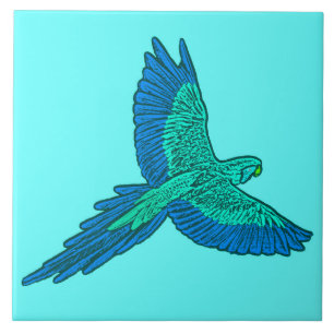Papagaio em Voo, Azul Água e Cobalto