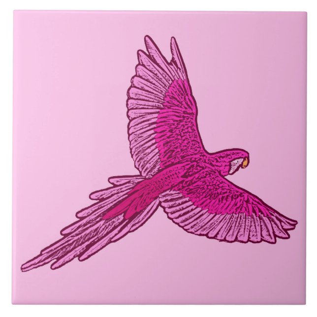 Papagaio em Voo, Fúchsia e Rosa-de-Gelo (Frente)