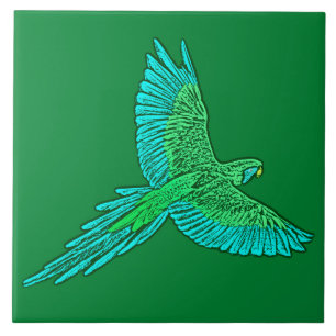 Papagaio em vôo, verde de jade e turquesa