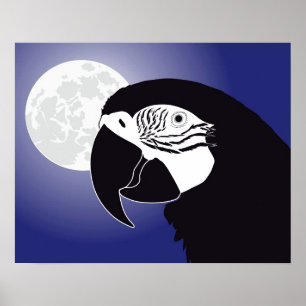 Papagaio era poster