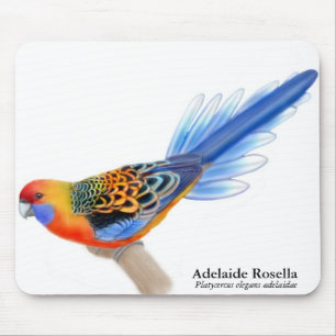 Papagaio Mousepad de Adelaide Rosella