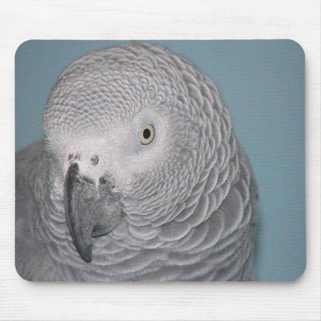 Papagaio Mousepad do cinza africano (Frente)