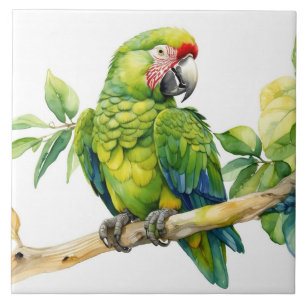 Papagaio Verde Aquarela em um Galho de Árvore