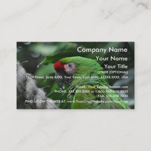 Papagaio verde - modelo de cartão de negócios