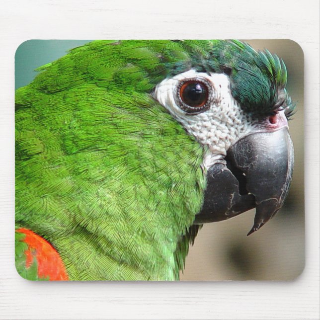 Papagaio verde Mousepad (Frente)