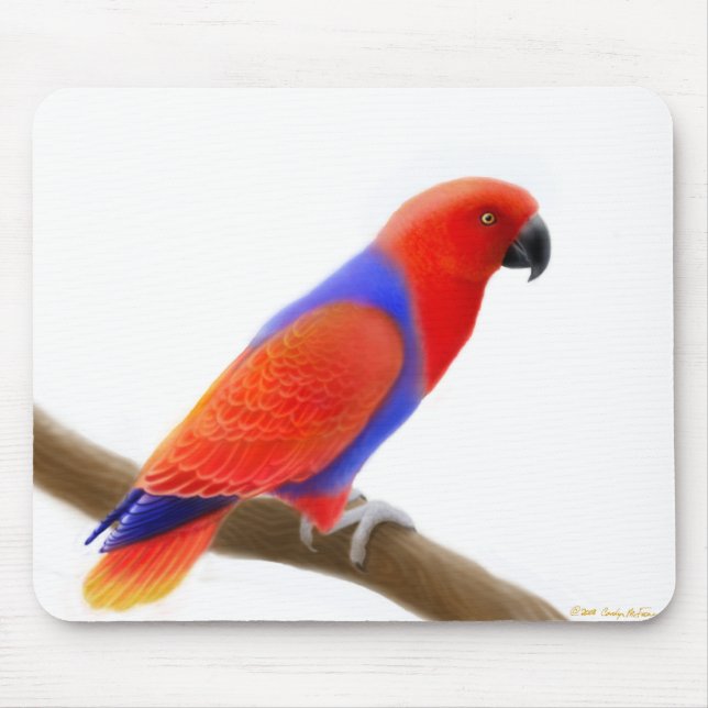 Papagaio vermelho fêmea Mousepad de Eclectus (Frente)