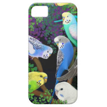 Papagaios de Budgie em umas capas de iphone das