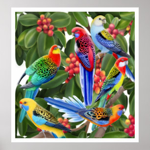 Papagaios de Rosella no impressão da árvore de