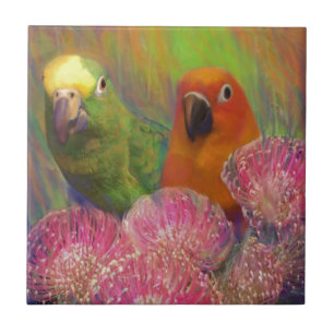 Papagaios de Sun Conures