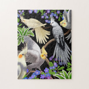 Papagaios do Cockatiel no quebra-cabeça dos