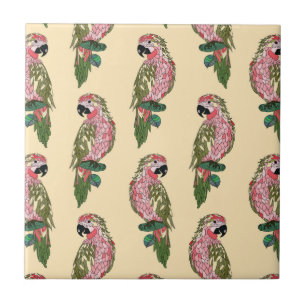 Papagaios do estilo de Zentangle