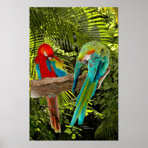 Papagaios do Macaw em um poster tropical da