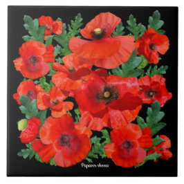 Papagaios vermelhos coloridos