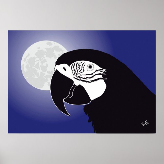 Papagei Ara Poster (Frente)