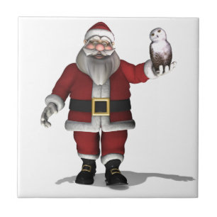 Papai Noel ama Snowy Owl