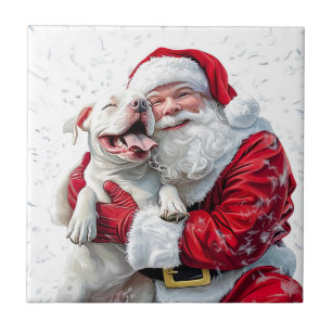 Papai Noel & Pitbull