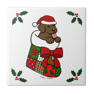 Papai noel que armazena desenhos animados do