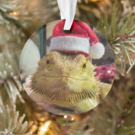 Papais noeis Bubbs Ornamento acrílico