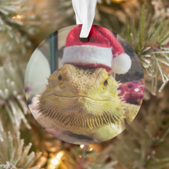 Papais noeis Bubbs Ornamento acrílico (Árvore)