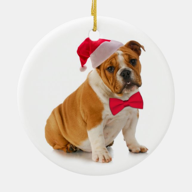 Papais noeis Bulldog Enfeites de natal (Traseira)