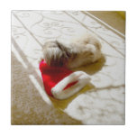 Papais noeis capturados<br><div class="desc">Oops! Faça aquele Papai noel Hat! Bem, ele quase o "pegou"! Personalize este design Pekingês com nossa ferramenta de texto, adicione cores de fundo com facilidade, torne-o seu! Venha visitar nosso Compro Maggie Ross Pekingese para ver muitos designs sazonais criados do meu trabalho artístico original. Pekinese para todas as estações...</div>