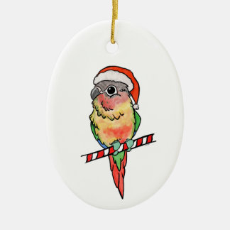 Papais noeis Conure Enfeites de natal