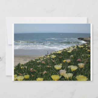 Papais noeis Cruz praias