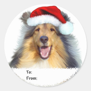 Papais noeis de Natal Collie com Etiquetas de Pres