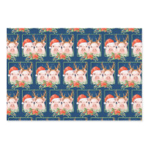 Papais noeis De Natal E Suínos De Reena