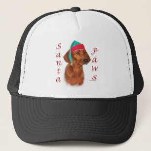 Papais noeis do Red bone Coonhound